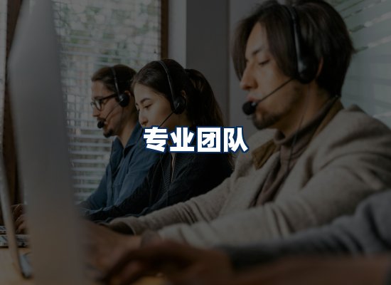 专业团队